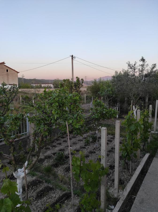 Alanthia Apartamento Vlorë Exterior foto